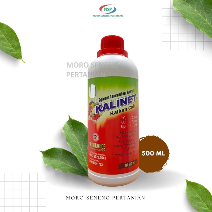 Kalinet
