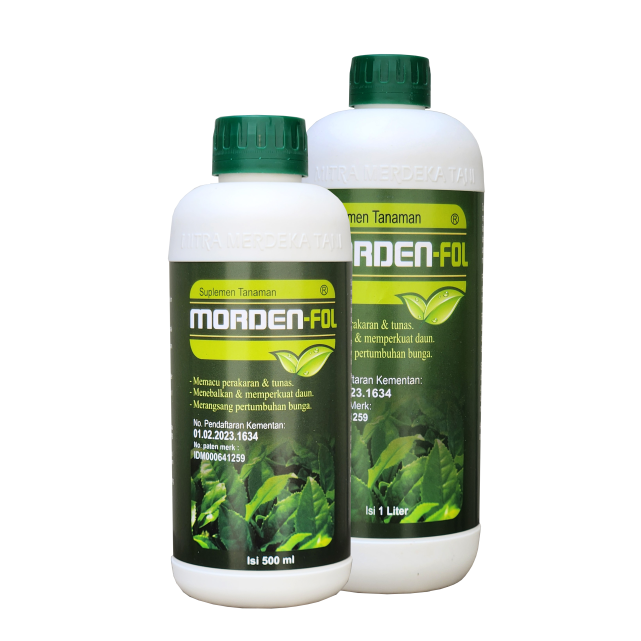 Mordenfol